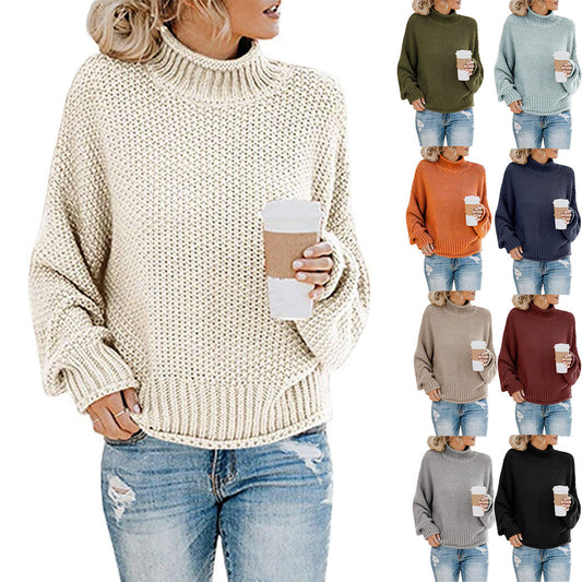 Women’s Cozy Turtleneck Knit Top